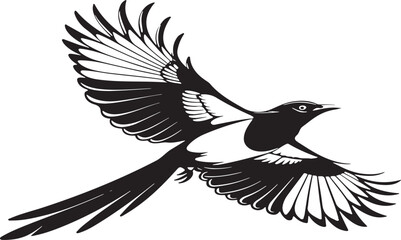Flying Magpie silhouette vector style with white background .