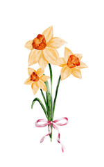 Watercolor Narcissus Bouquet – Vintage Floral Illustration with Ribbon, Leaves, and Spring Blossoms for Easter, Wedding, and Romantic Celebrations