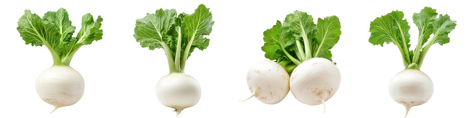 An assortment of fresh white root vegetables including turnips and radishes with their vibrant green leaves displaying natural organic produce in a clean minimalist setting