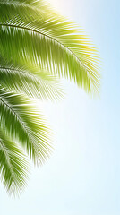 Naklejka premium Bright sunlight filtering through verdant palm fronds, casting dappled shadows against azure sky, radiating peaceful tropical landscape and summer serenity