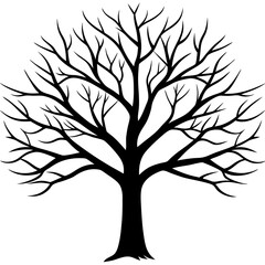 Obraz premium A simple winter tree silhouette on white background