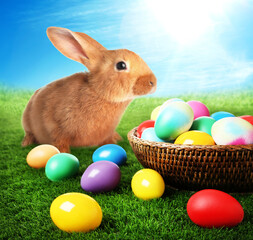Easter eggs and cute fluffy rabbit on green grass under sky
