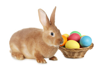 Cute fluffy rabbit and colorful Easter eggs isolated on white