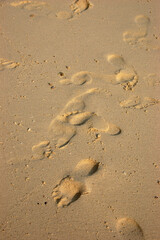 Barefoot footprints in the soft golden sand on a tropical beach in Thailand, capturing a tranquil moment of a walk by the sea