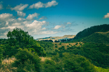 Naklejka premium Beautiful mountain landscape in summer. Green rolling hills and distant wind turbines. Waikato, New Zealand