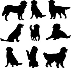 golden retriever set silhouette, vector on white background