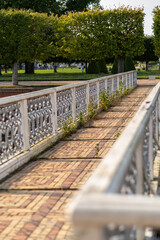 Exploring the serene pathways of Peterhof with lush greenery and intricate ironwork details during a warm, sunny day in late spring