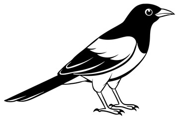 bird line art silhouette vector illustration