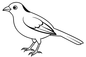 bird line art silhouette vector illustration