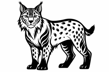 Fototapeta premium bobcat line art silhouette vector illustration