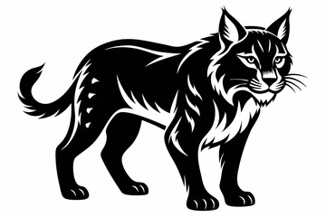 Obraz premium bobcat line art silhouette vector illustration