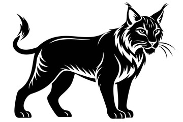 bobcat line art silhouette vector illustration