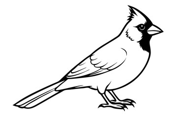 cardinal line art silhouette vector illustration