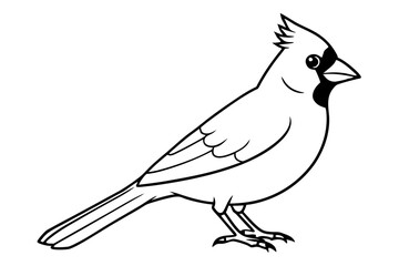 cardinal line art silhouette vector illustration