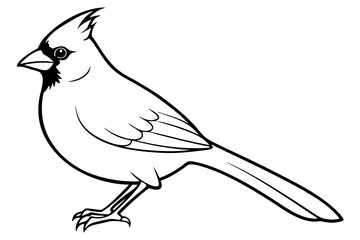 Fototapeta premium cardinal line art silhouette vector illustration