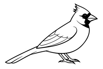 cardinal line art silhouette vector illustration
