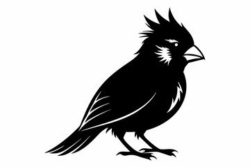 cardinal line art silhouette vector illustration