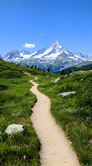 Serene mountain trail winds through alpine meadow towards snow-capped peak under a vibrant blue sky