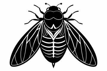 cicada line art silhouette vector illustration
