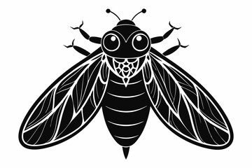 cicada line art silhouette vector illustration