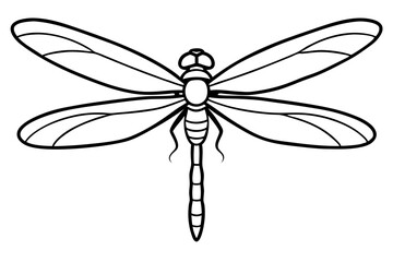 dragonfly line art silhouette vector illustration