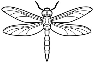 dragonfly line art silhouette vector illustration