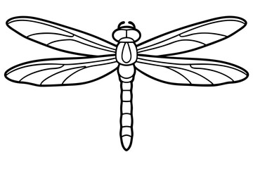 dragonfly line art silhouette vector illustration