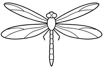 dragonfly line art silhouette vector illustration