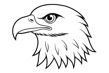 eagle head line art silhouette vector illustration