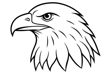 eagle head line art silhouette vector illustration