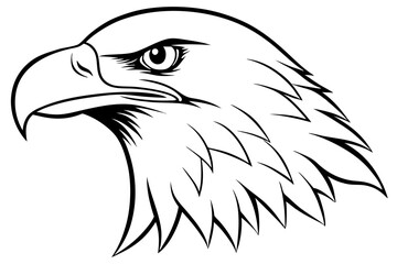 eagle head line art silhouette vector illustration