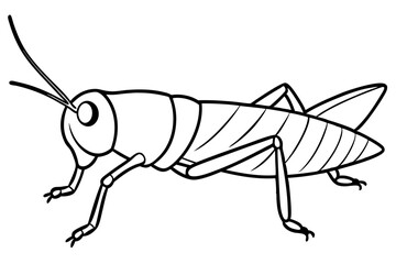 grasshopper line art silhouette vector illustration