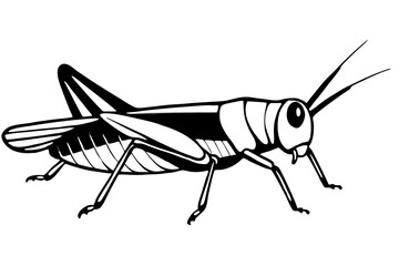 grasshopper line art silhouette vector illustration