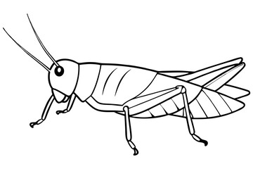 grasshopper line art silhouette vector illustration