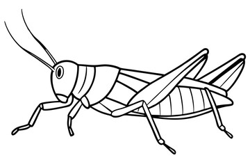 grasshopper line art silhouette vector illustration