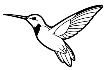 hummingbird line art silhouette vector illustration