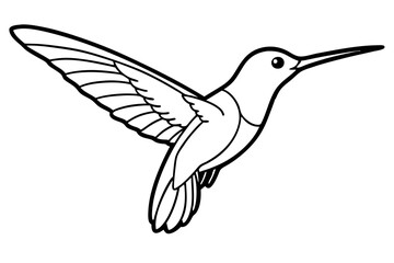 Obraz premium hummingbird line art silhouette vector illustration
