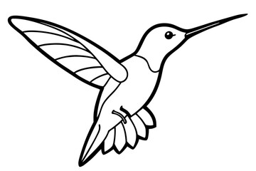 hummingbird line art silhouette vector illustration