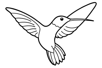 hummingbird line art silhouette vector illustration