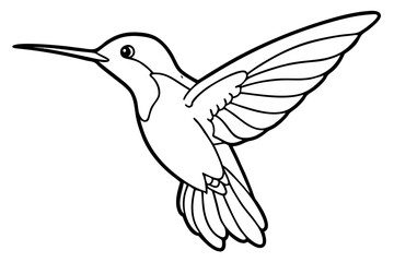 hummingbird line art silhouette vector illustration