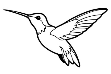 hummingbird line art silhouette vector illustration