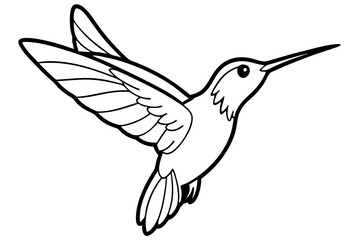 hummingbird line art silhouette vector illustration
