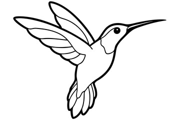 hummingbird line art silhouette vector illustration