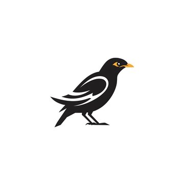 Myna bird logo on a white background.