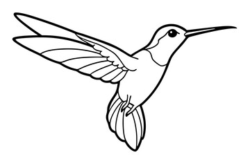 hummingbird line art silhouette vector illustration