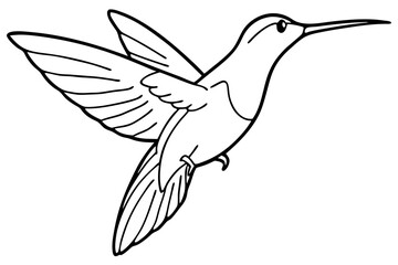 hummingbird line art silhouette vector illustration