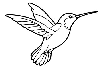 hummingbird line art silhouette vector illustration