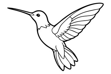 hummingbird line art silhouette vector illustration