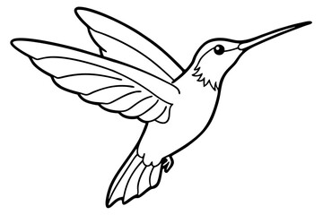 hummingbird line art silhouette vector illustration