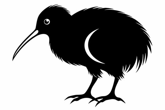 recommend clip art: kiwi bird line art silhouette vector illustration